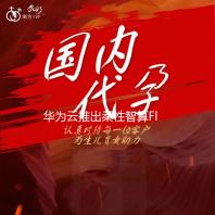 华为云推出柔性智算FlexNPU 有效降低Token成本